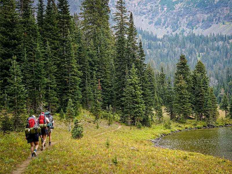 high-country-cutthroat-4
