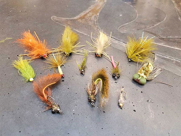 Which Flies Catch Carp?