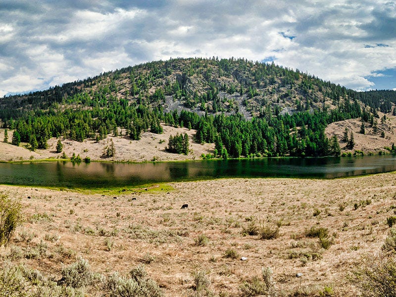 Chopaka Lake Report 08.31.18