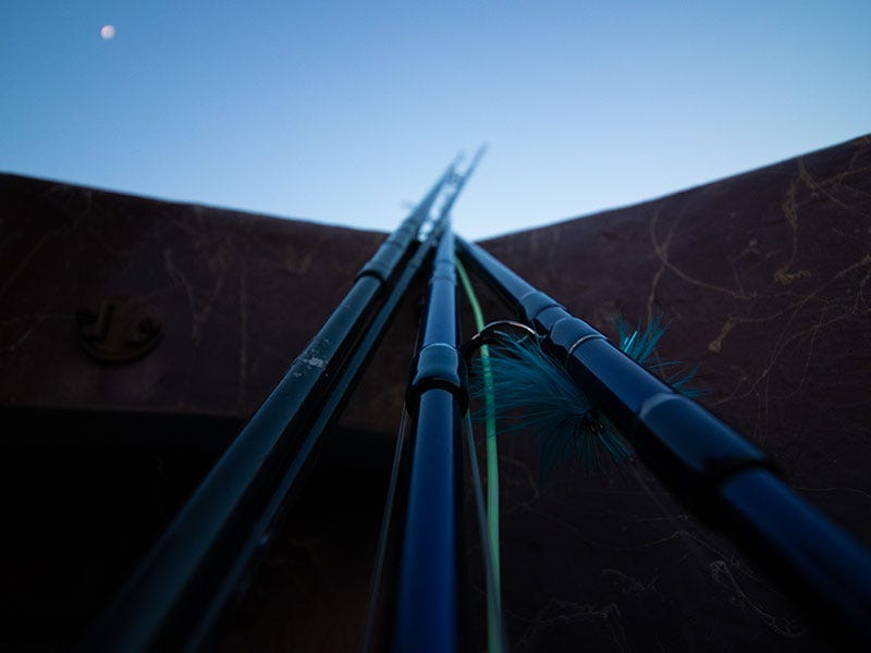 Early Season Steelhead Set-Up