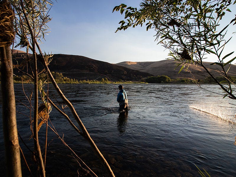Early Season Steelhead Set-Up
