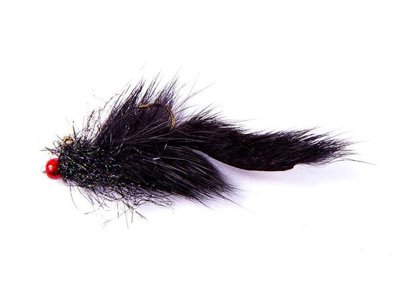 Fly of the Week: Balanced Squirrel