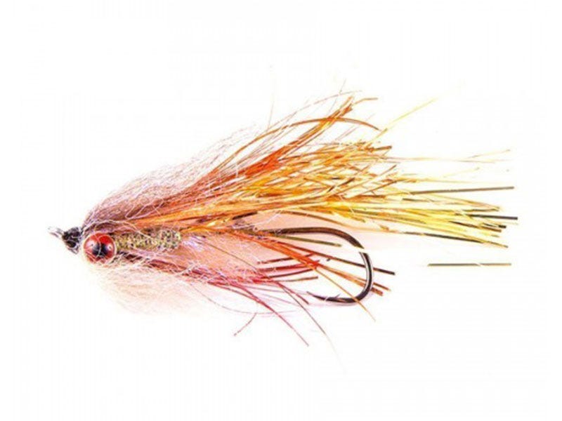Fly of the Week: Montana Intruder