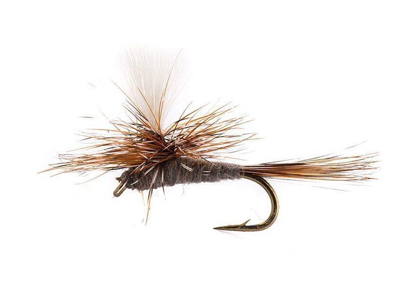 Fly of the Week: Parachute Adams