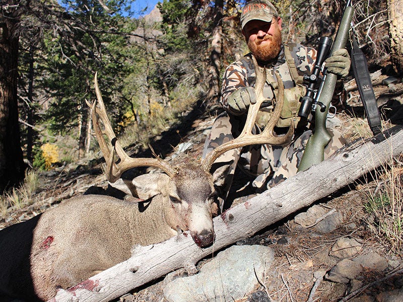 Scouting for High Country Mule Deer