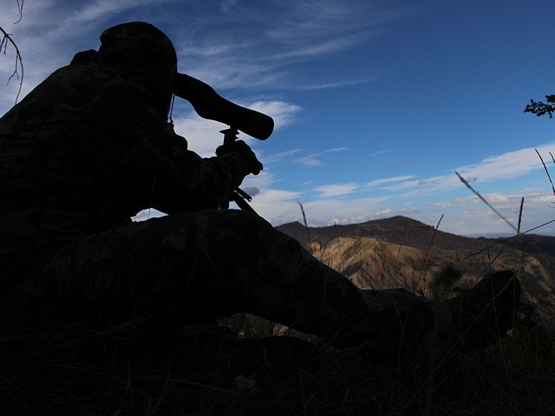 scouting for high country mule deer