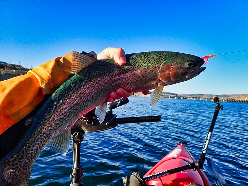 Fall_Fisheries_RooseveltBow1