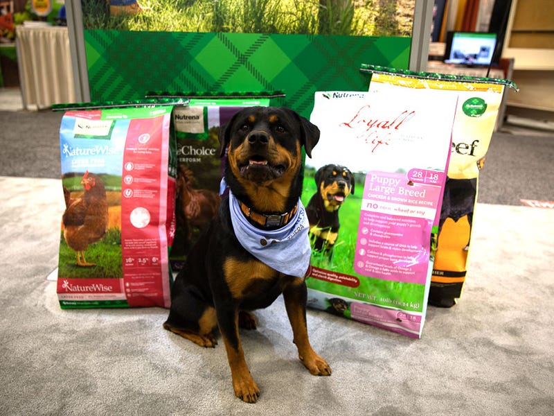 New Face of Nutrena Animal Feeds - First Look