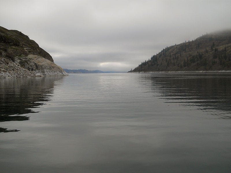 Fall Streamer Fishing on Omak Lake