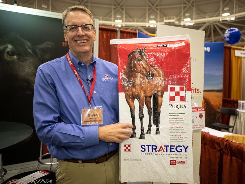 The Best Feed for Horse Gut Health | Purina Strategy Professional Formula GX Pelleted Horse Feed