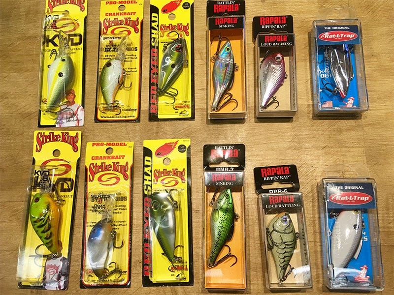 Fall Fishing for Smallmouth Bass