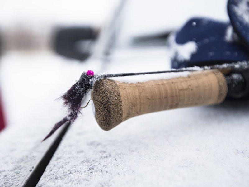 Get with the Trout Swing Season