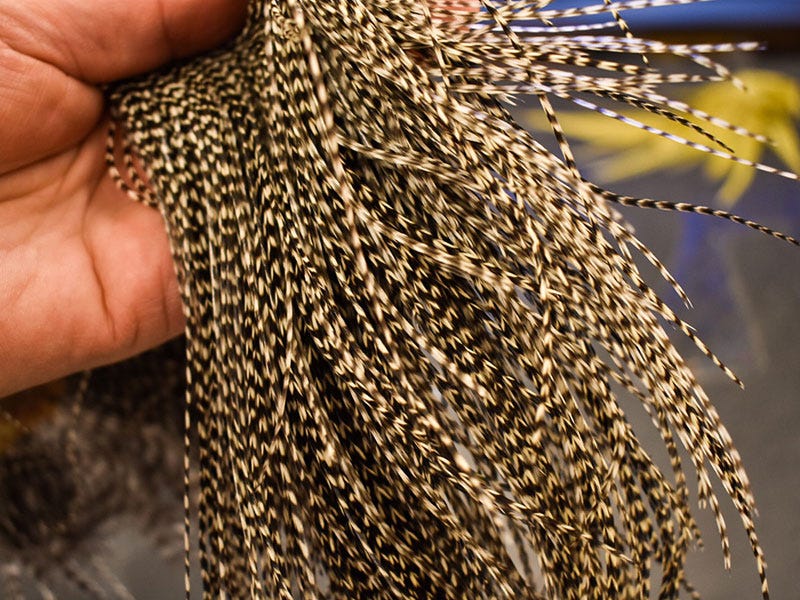 Hackle – A Fly Tyer's Guide