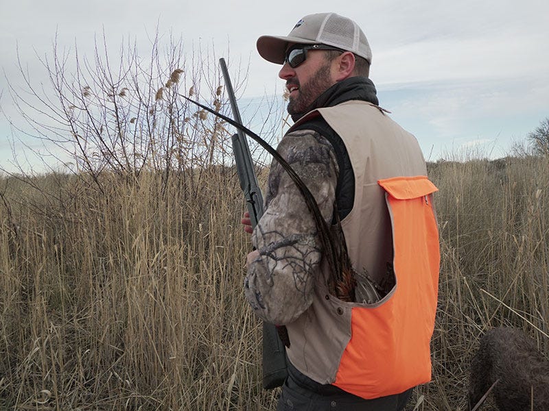 Warm Weather Blues - Bird Hunting Tactics