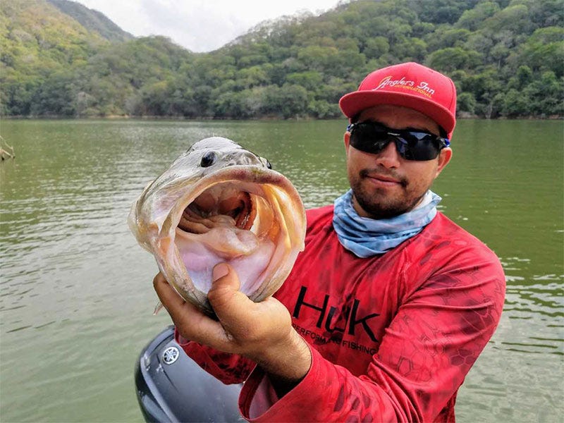 North 40 Hosted Trip: World's Best Bass Fishing - Lake Picachos - Day 3