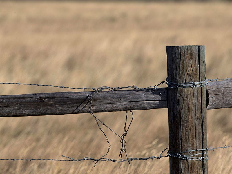 How Much Does Fencing Cost?