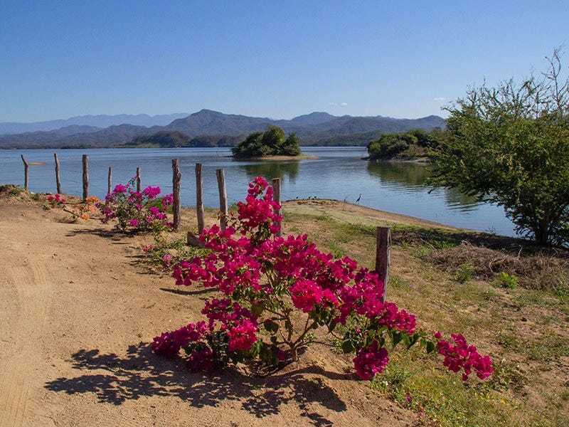 North 40 Hosted Trip: World's Best Bass Fishing - Lake Picachos - Last Day