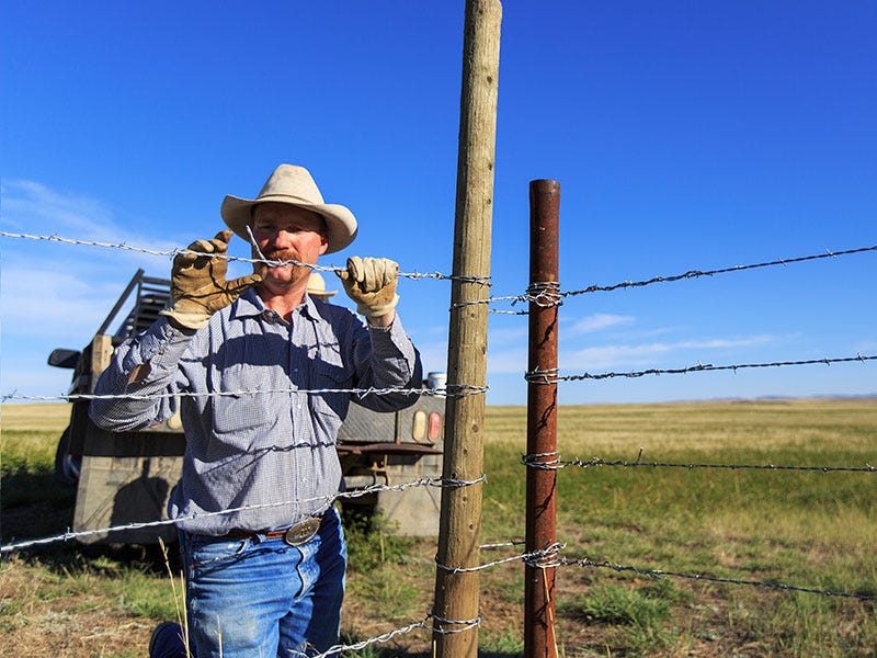 What Type of Fencing is Recommended for my Pasture, Corral, Yard?