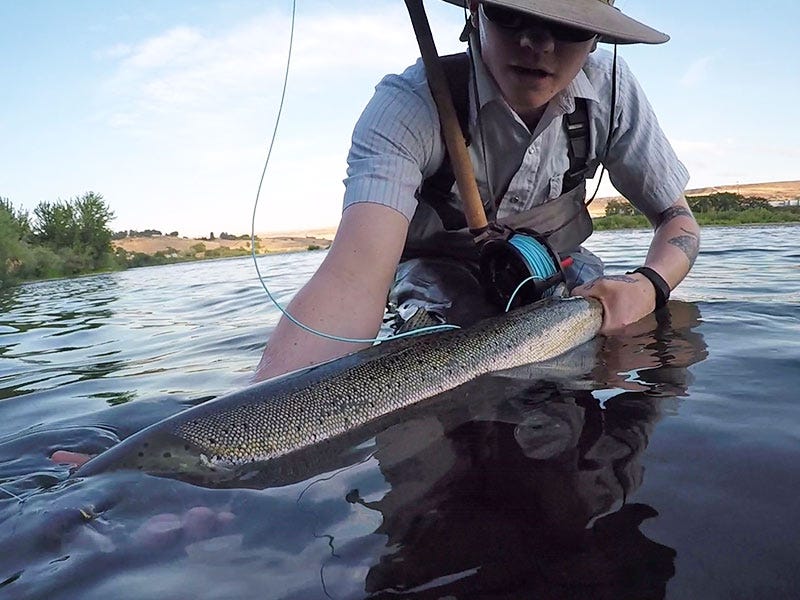 Is Spey the Way?