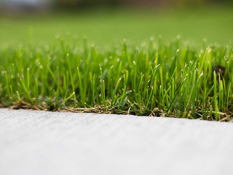 How do I Seed my Lawn?