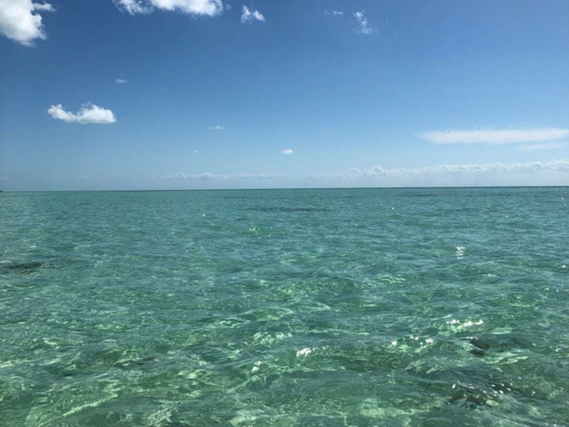 North 40 Hosted Trip: Holy Grail Permit - Belize - Day 1