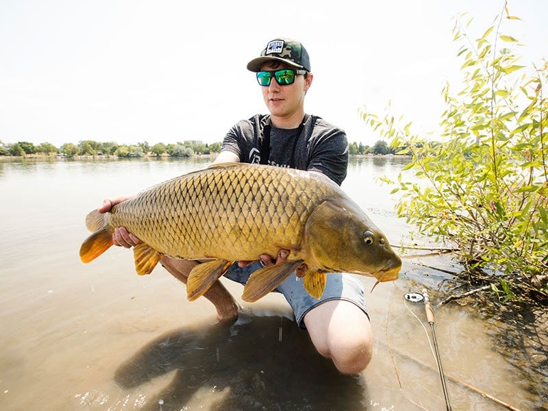 Premier Carp Fishing - Lower Snake River Carp