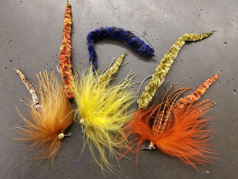 Best Strategies for Summertime Bass