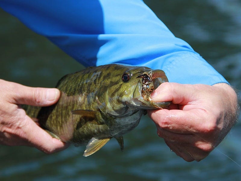 A Guide to the Best Bass Fishing in Okanogan County