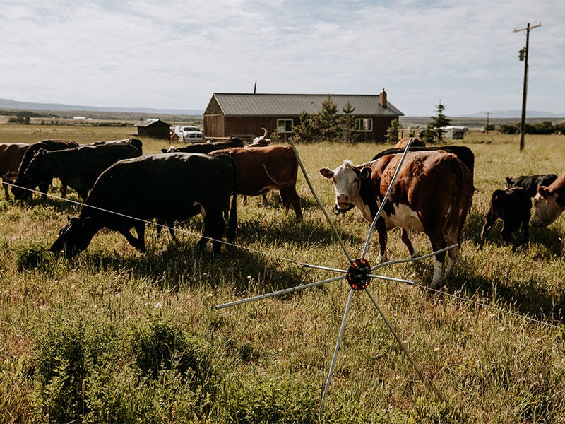 How do I Install an Electric Fence Tumble Wheel?