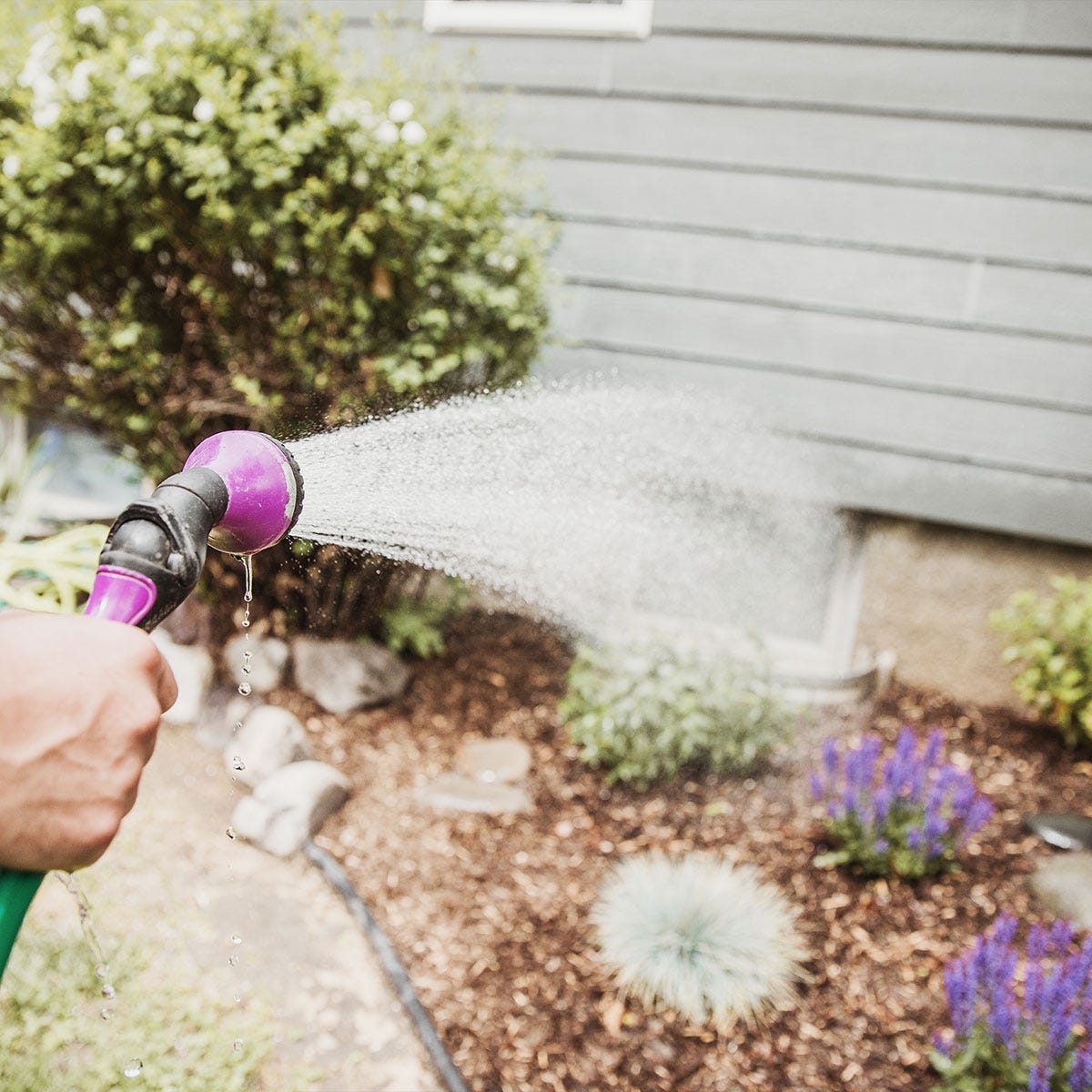 Tips for Watering your Garden