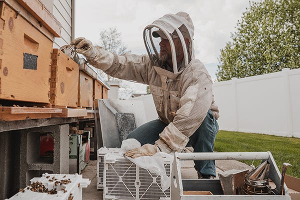 Beekeeper adding bees to a hive with tools.