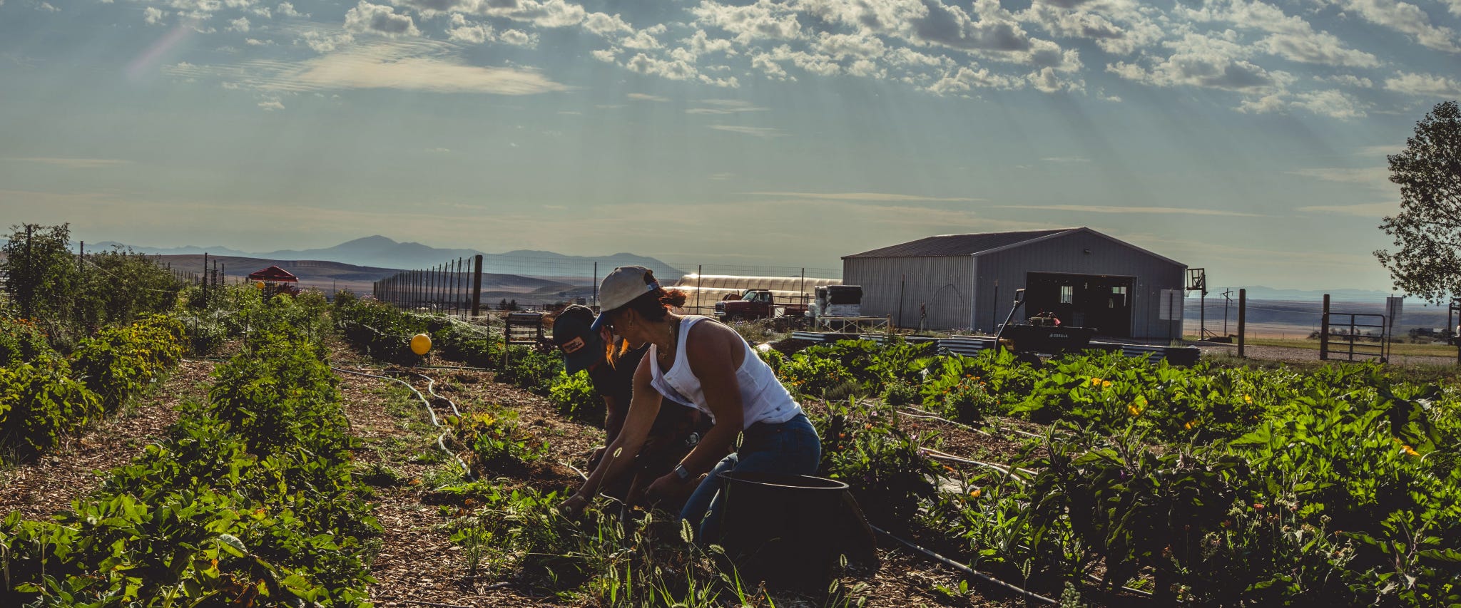 What to Wear for Farm Work: Real-Life Outfits Built for Long Days