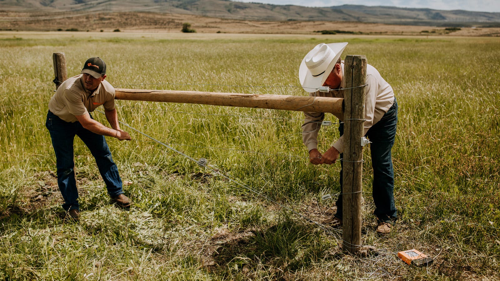 Two men building an h-brace in a field full of tall grass