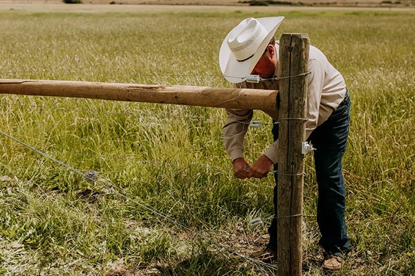 Two men building an h-brace in a field full of tall grass