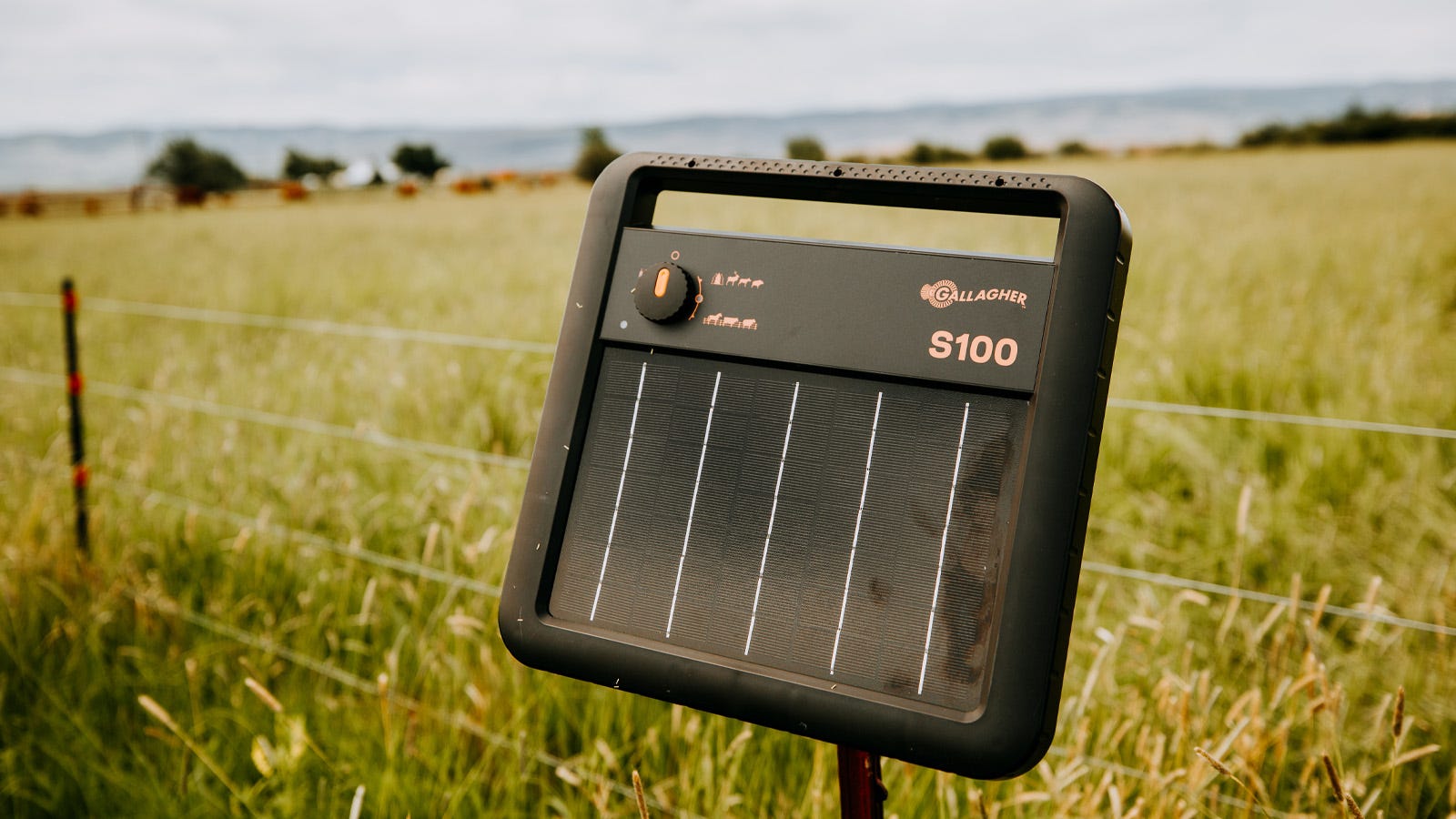 A Gallagher s100 energizer on a post in a field full of grass