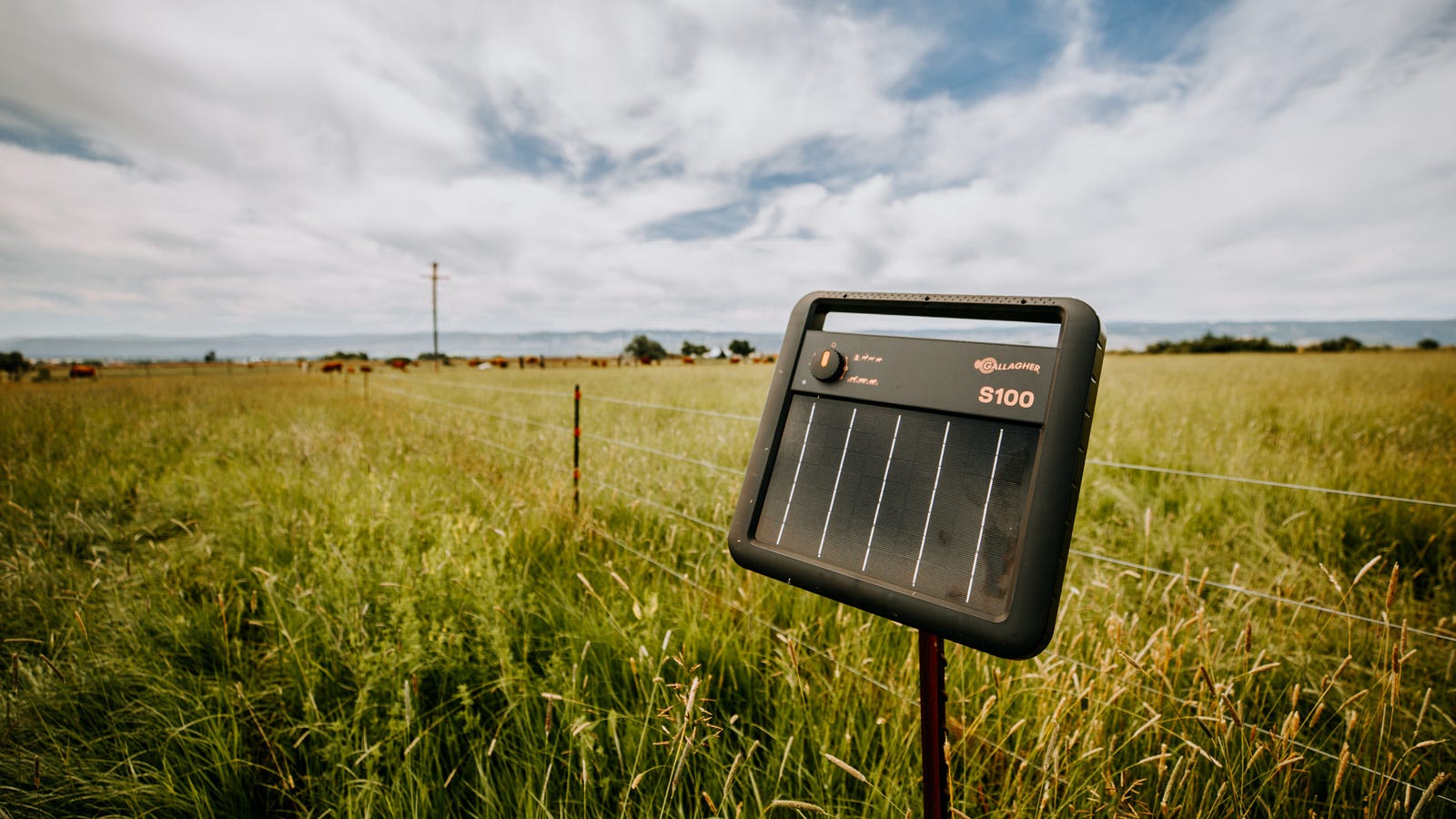 A Gallagher s100 energizer on post in a field with tall green grass