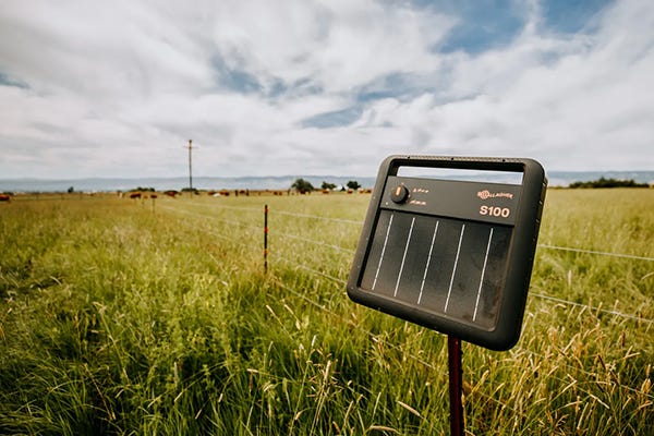 A Gallagher s100 energizer on post in a field with tall green grass