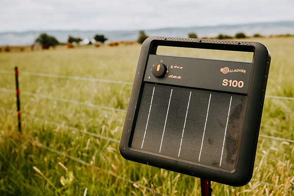 A Gallagher s100 energizer on a post in a field full of grass