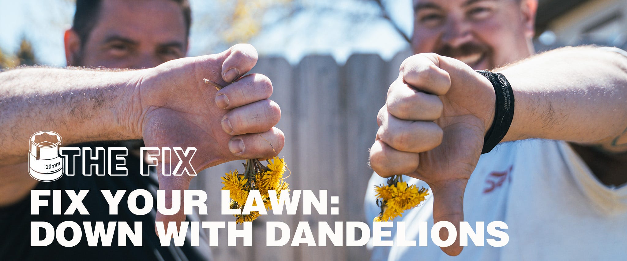 Fix Your Lawn
