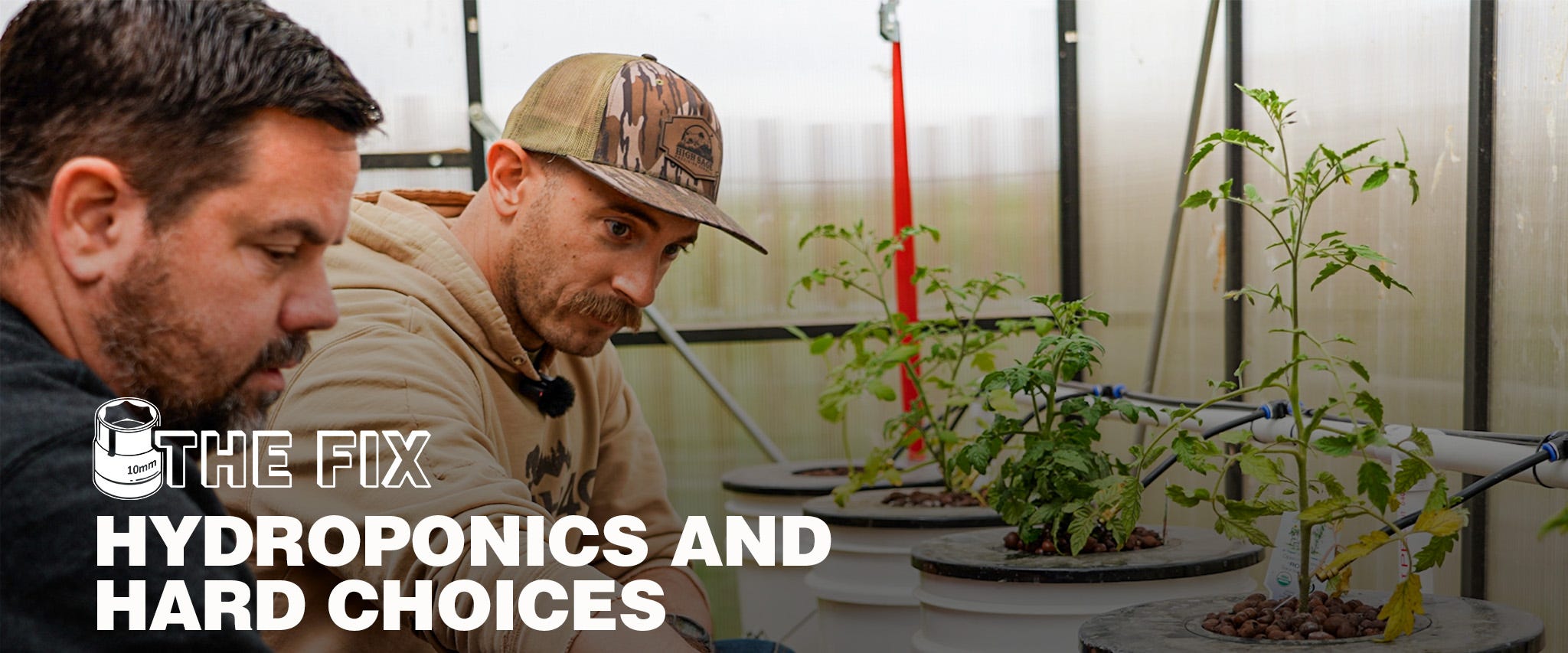 Growing Food Without Soil: DIY Hydroponic Garden