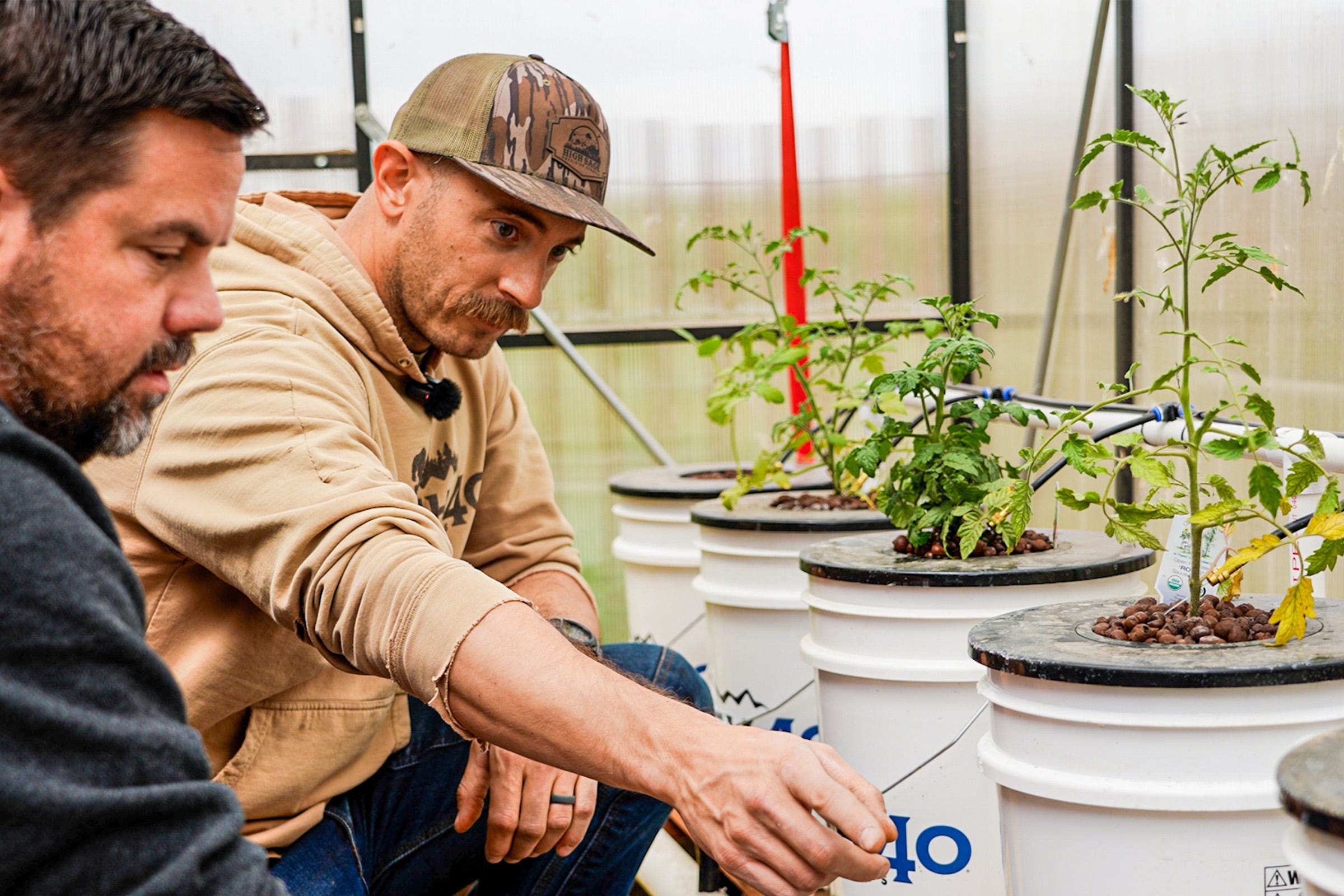 Growing Food Without Soil: DIY Hydroponic Garden