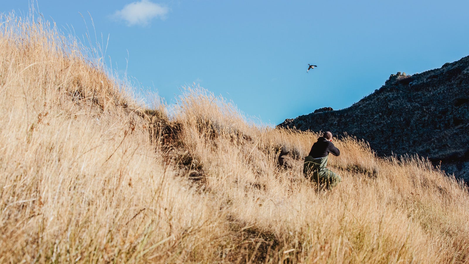 A bird hunter readies to take the shot as a bird flies over a mountainous grassland environment