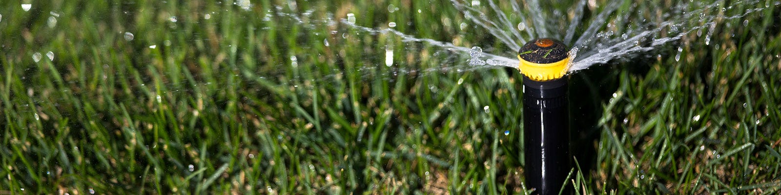 How do I Fertilize my Lawn?