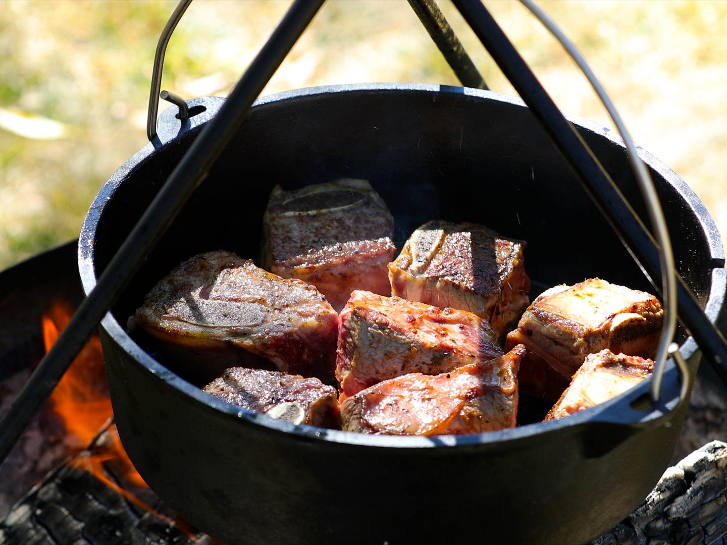 Fall Recipes: How to Cook Dutch Oven Beef Short Ribs 