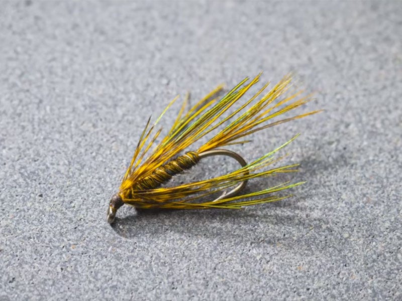 Fly Tying Friday - Six Pack Soft Hackle
