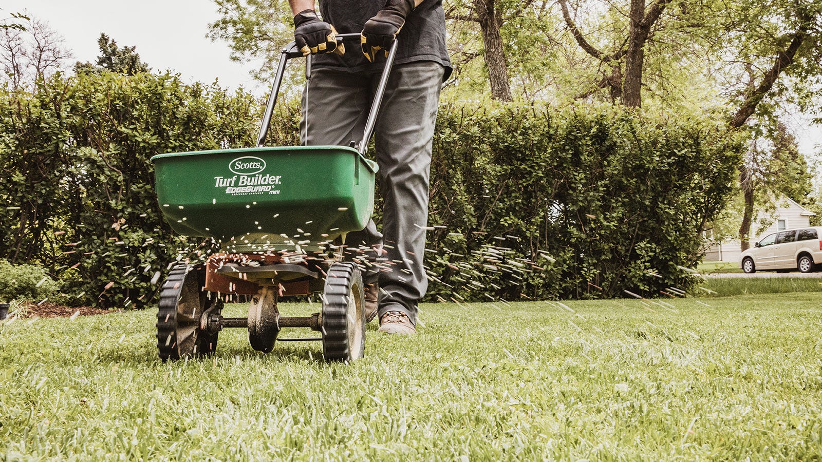 How do I Fertilize my Lawn?