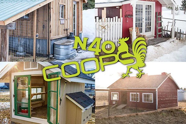 Collage of backyard chicken coops in different styles with N40 Coops logo overlaid