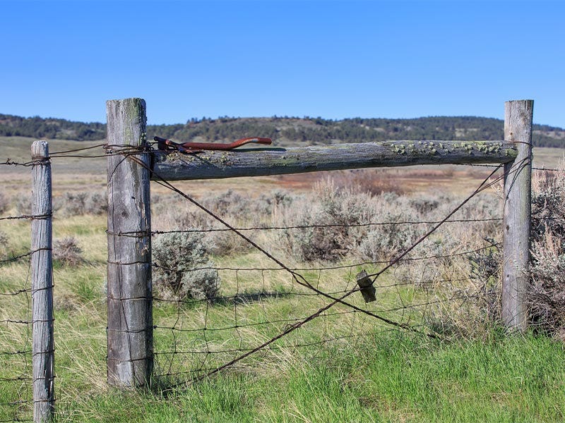 utility fence posts