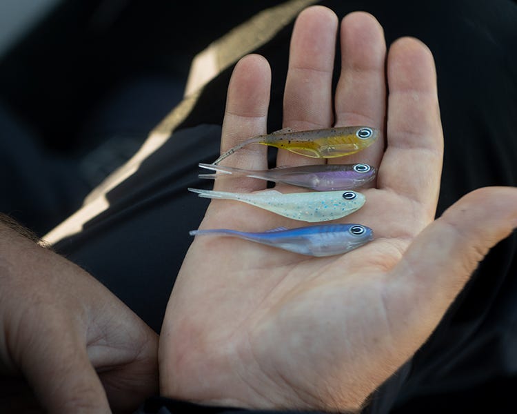 cast fishing co echo swimbait in four different colors laying in someone's hand, ffs 