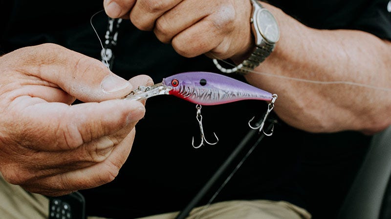 Closeup photo of a fisherman's hands as he strings a purple lure